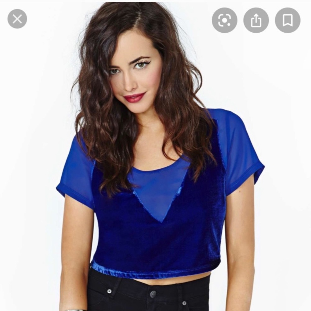 Nasty Gal Blue Velvet Mesh Crop Top S